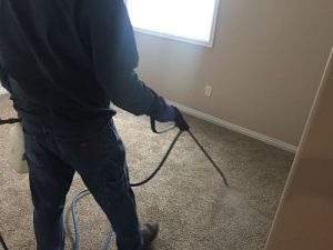 We give new customers 20% off a carpet cleaning.