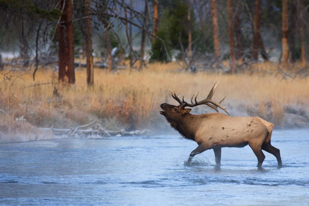 visit yellowstone national park