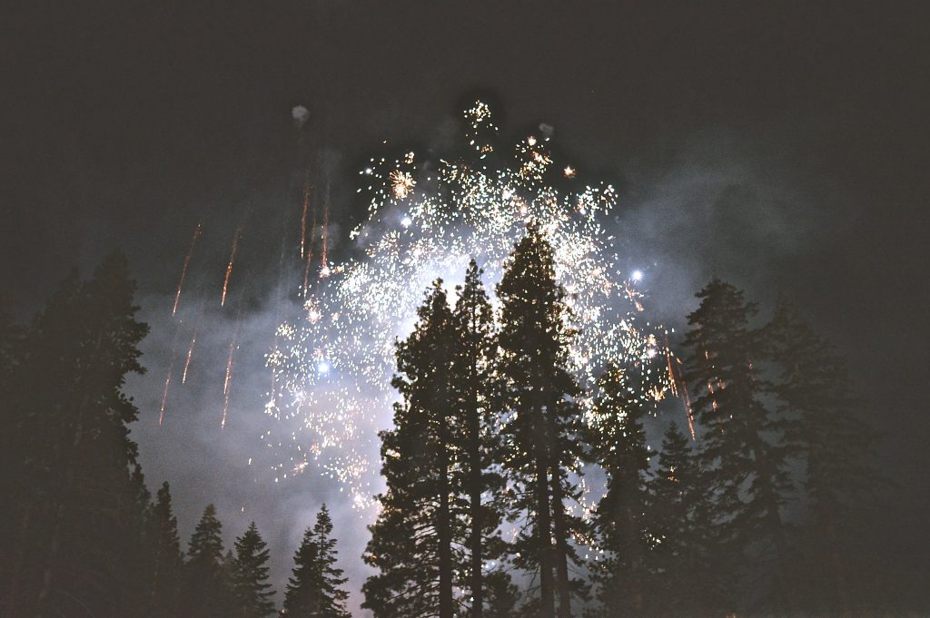 Fireworks shows over trees