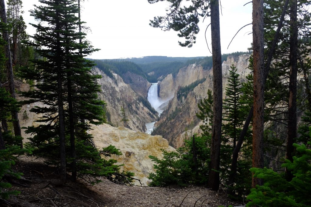 yellowstone hikes