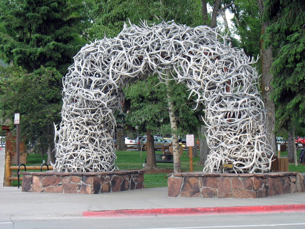 Jackson Hole is one of the great honeymoon destinations.